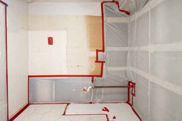 Best Mold Damage Restoration  in Conyngham, PA